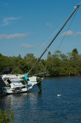 Vertical View Abandoned Derelict White Boat with mast leaning right on Florida Shoreline in green...