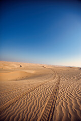 Naklejka premium The desert in Abu Dhabi 