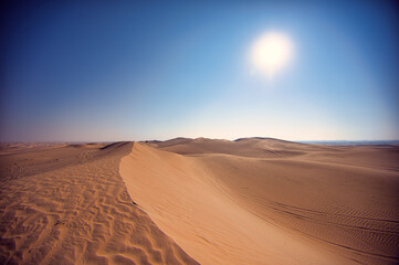Fototapeta na wymiar The desert in Abu Dhabi 