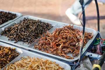 Fried insects (locust, worm, cricket, pupa, and giant waterbug) as street food on a vendor stall,...