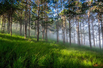 Obraz premium Beach scenery, boats of the people in Binh Ba Ninh Thuan Vietnam