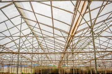 Fototapeta premium Small bamboo sticks are used by the people of Lam Dong Vietnam to build greenhouses to grow vegetables 