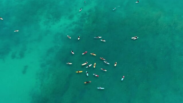 Cinematic shot of teal waves of transparent waters on Waikiki beach. Scenic aerial of group of athletic people on surfing boards on Oahu, Hawaii 4K. Top down view of surfers trying to catch green wave