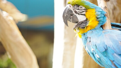 動物園で撮影した動物の写真