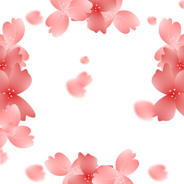 Flowers bloom Frame. Pink Blossom Border. Falling Petals Background.