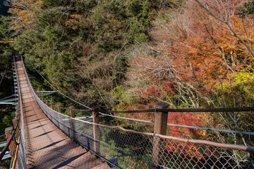 「宮沢橋」は「八橋（やっぱし）小道ラブ・ロマンス・ロード」にある八つの橋の一つ／日本静岡県川根本町 - obrazy, fototapety, plakaty