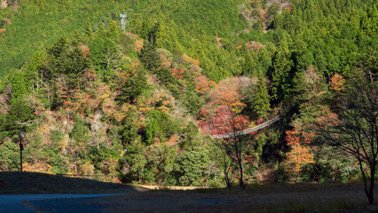 長い階段式吊橋の宮沢橋【八橋小道・奥大井】日本静岡県川根本町