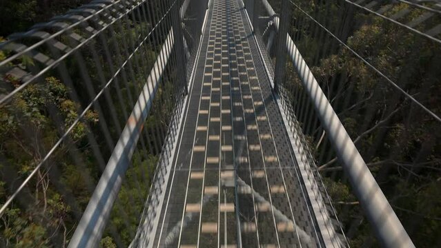 Tilt up reveal from looking down to looking ahead on the runway of a tree top walk.