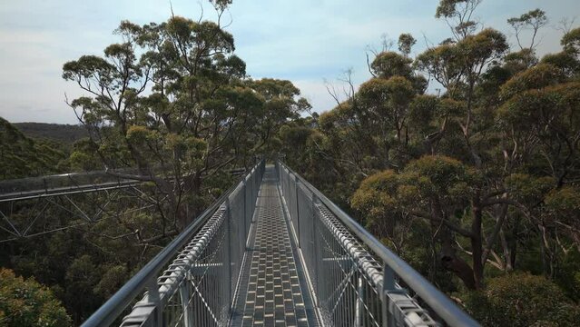 Walking down the runway of the tree top walk in Walpole.