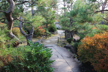 Fototapete bei efototapeten.de bestellen   