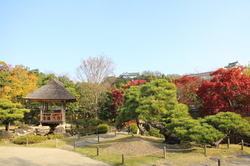 Fototapeta na wymiar Autumn leaves in the Garden with a Hill and Pond in Koko-en Garden, Himeji, Japan