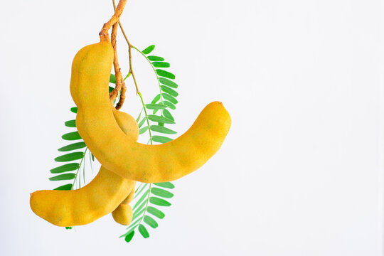 Fresh tamarind pod isolated on white background.