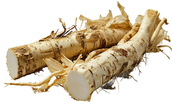 Horseradish Root On Transport Background.