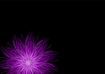 
Imaginary flowers created from a graphics program Pink flowers on a black background Can be used to design media