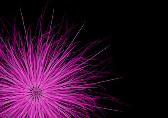 
Imaginary flowers created from a graphics program Pink flowers on a black background Can be used to design media