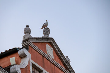 Old building with a red brick facade and a white roof in Chioggia, Veneto, Italy. Bird perched on...