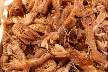 Fresh mantis shrimps displayed on vibrant fish market in Chioggia, Venetian Lagoon, Veneto, Italy. Freshest catch of day. Delectable seafood sold on fishermen market. Preparing luxury food