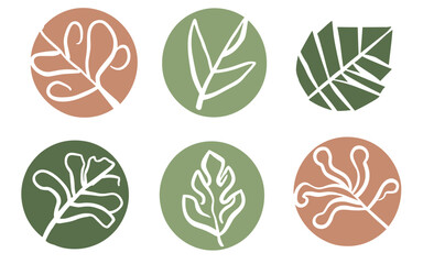 Abstract leaf vector clipart. Spring illustration.