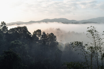 Fog and mountain scenery in the early morning
