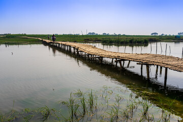 bamboo bridge over the river, Bangladesh.