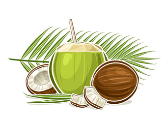 Vector logo for Coconut Milk, decorative horizontal poster with outline illustration of coconut composition with palm sprig, cartoon design fruity print with chopped coconut parts on white background - obrazy, fototapety, plakaty