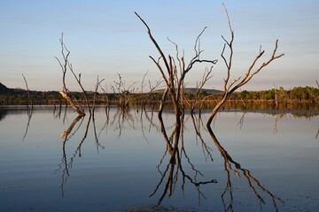 Red rocks line the banks of the Ord River in the Kimberley Region, Australia. The rocks dwarf the trees growing on them. They are reflected in the still water.