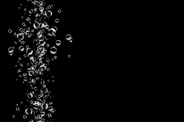 Obraz premium bubbles on black background