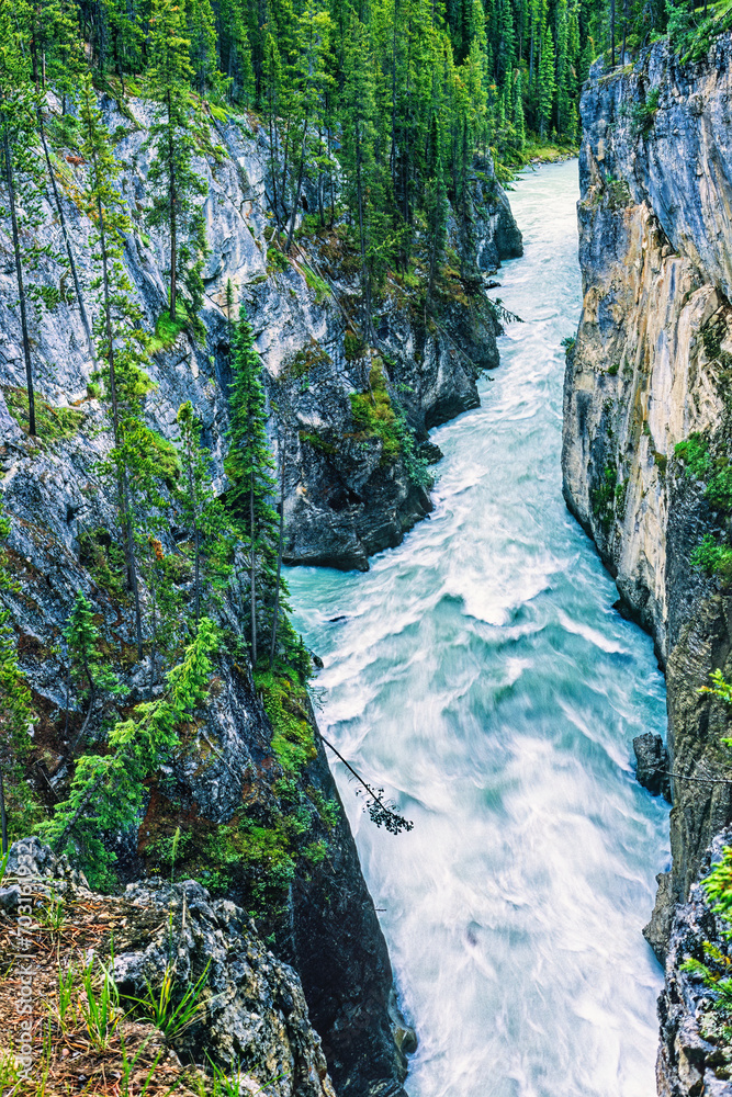 Wall mural Deep canyon with a flowing river in the wilderness