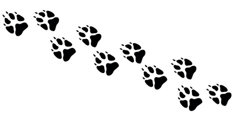 Bear paws. Animal paw prints, vector different animals footprints black on white illustration - obrazy, fototapety, plakaty