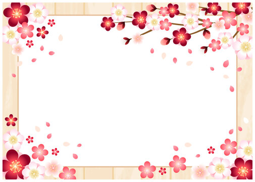 梅、桜、板、フレーム、春、和風、イラスト、イメージ