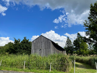 the blue sky and a small house in the forest