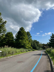 a deserted road. a quiet forest and road