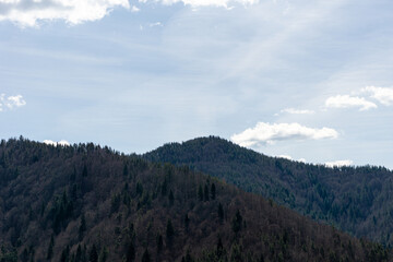 View to hill with trees and cloudy sky
