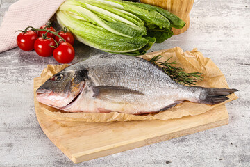 Raw dorada fish served rosemary