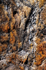 rock detail of quartz and granite texture macro photograph
