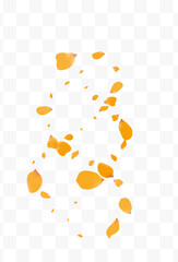 Delicate Peach Fall Vector Transparent