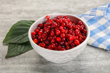 Ripe sweet wild organic cowberry