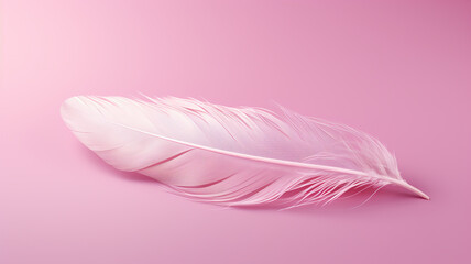 White Feather Pink Color Background