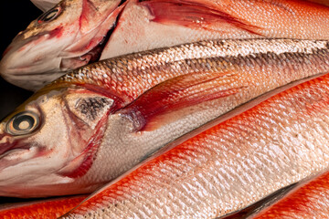 fresh fish. frozen red fish lies in a stack close-up top view, useful concept