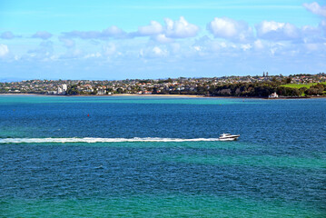 Travel in Auckland (Nov. 2023)