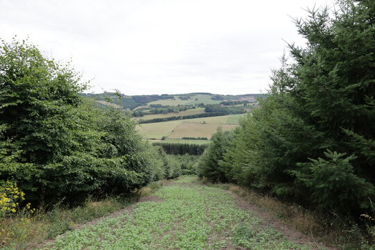 Blick auf die Naturlandschaft des Sauerlandes bei Grevenstein	