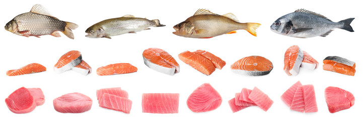 Different types of raw fish isolated on white, set