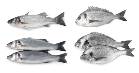 Different types of raw fish isolated on white, set