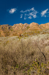 Dramatic clouds and mountains, ragged peaks in natural landscape in the Outeniqua mountains in the fynbos region of the western cape 
