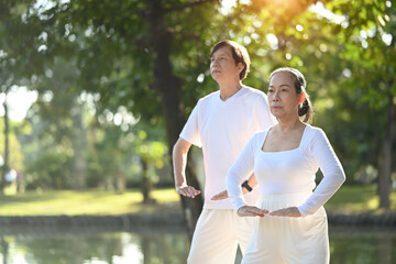 Peaceful Asian senior couple practicing Tai Chi in the morning with sunrise. Health care and...
