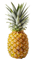 pineapple isolated on transparent background
