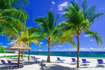Cancun, Carribean Sea - Yucatan Peninsula in Mexico, Central America. - obrazy, fototapety, plakaty