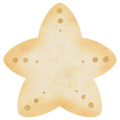 Watercolor Nautical Clipart Experience the refreshing touch of nature A watercolor painting filled with warmth and tranquility.