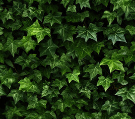 3D Ivy Vines Seamless Patterns