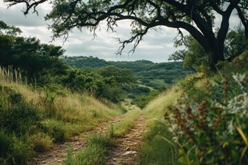 A dirt road stretching through a vast field. This image can be used to depict rural landscapes, countryside scenery, or the concept of journey and exploration